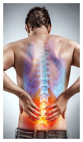 pic-290-joint-muscle pic-290-joint-muscle